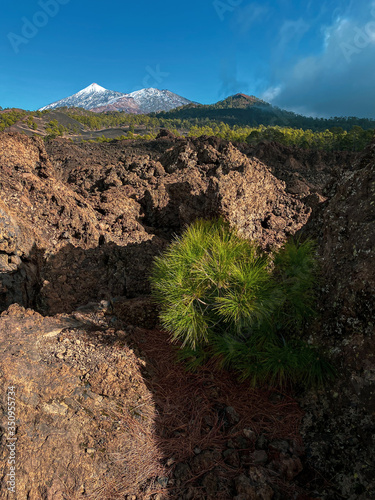 Masca valley, Tenerife, Spain - High  Repolution Panoramic Image photo