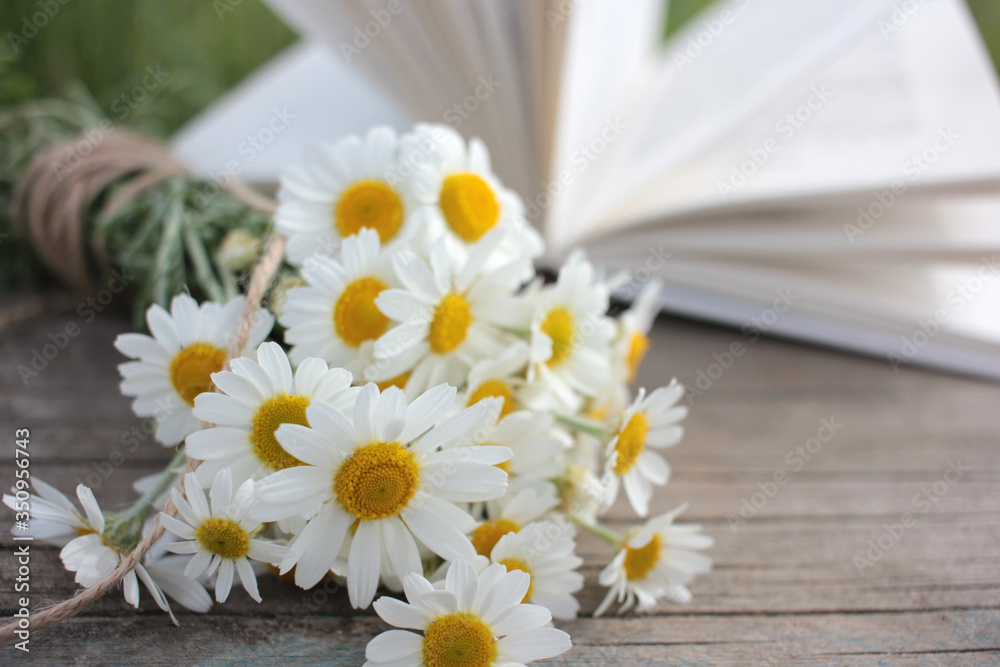 Obraz premium White daisies bouquet on a wooden table on a blurred open book background. Dreamy summer outdoor still life 
