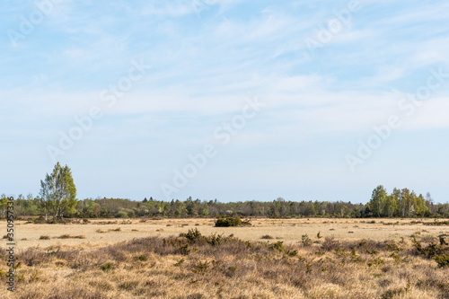Great plain barren grassland in spring season