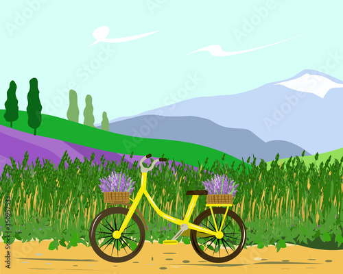 Landscape mountains and lavender fields with a Bicycle
