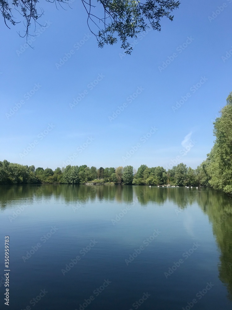 Obraz premium lake and trees
