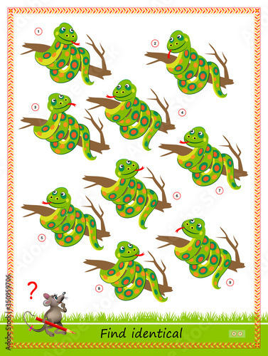 Logic puzzle game for children and adults. Find two identical snakes. Printable page for kids brain teaser book. Developing counting skills. IQ test. Flat vector cartoon illustration. Online education