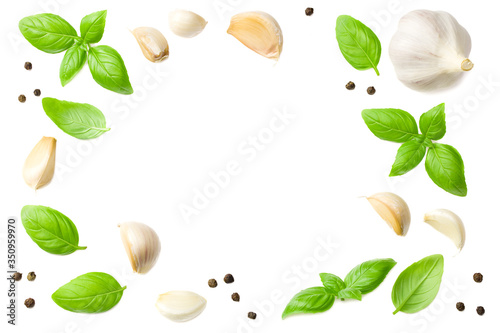 garlic with basil isolated on white background, top view