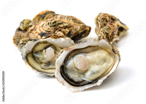 Fresh opened oyster on white background