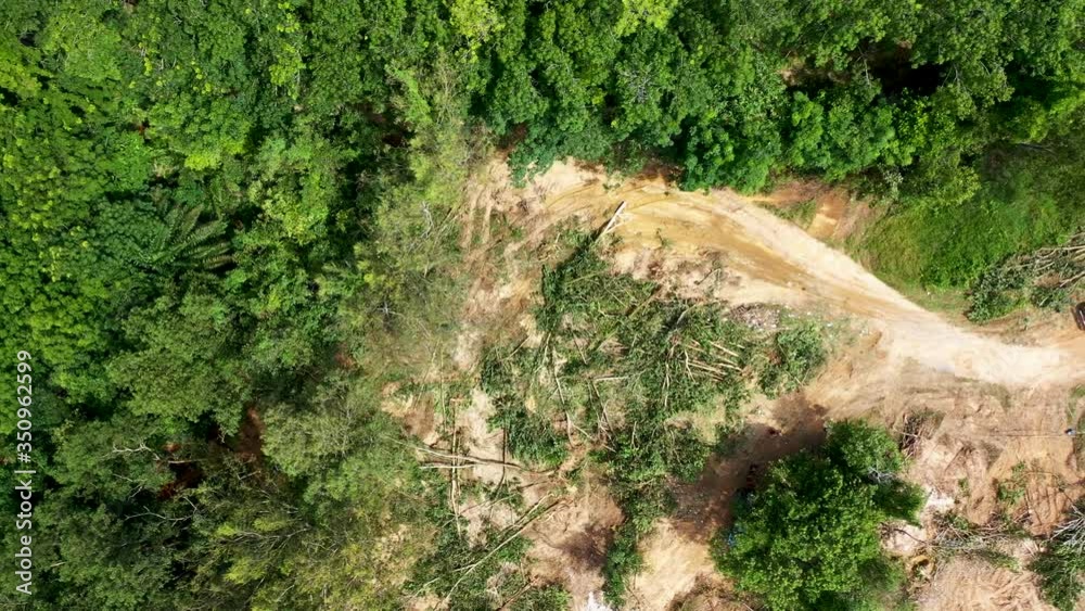 Aerial drone view of deforestation of a tropical rainforest ...