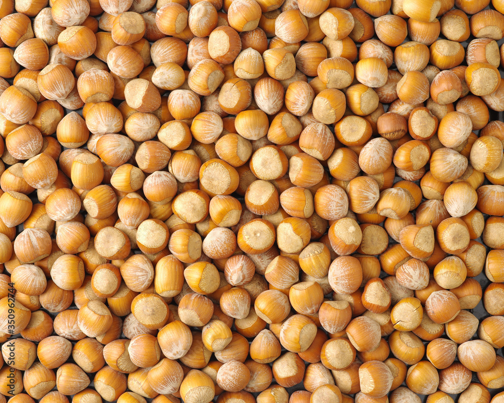 Hazelnuts background Hazelnuts background