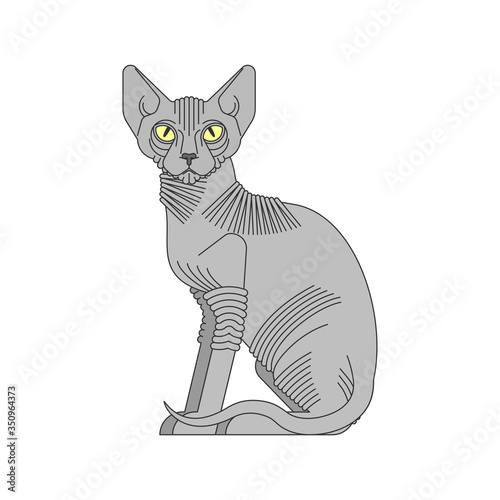 Sphynx cat isolated. hairless cat breeds. Pet vector illustration