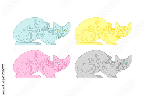 Sphynx cat set. hairless cat breeds. Pet vector illustration