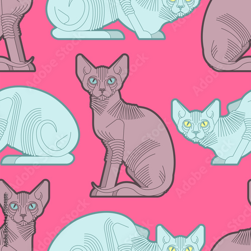 Sphynx cat pattern seamless. Pet background. Home animal texture. vector ornament