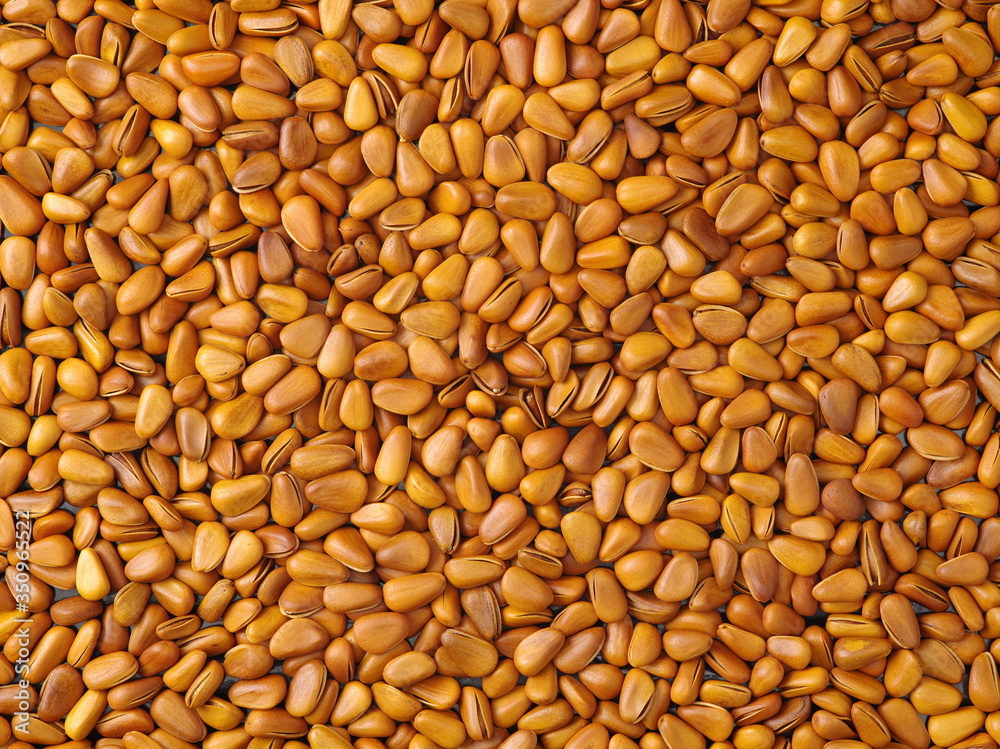 Pine nuts background
