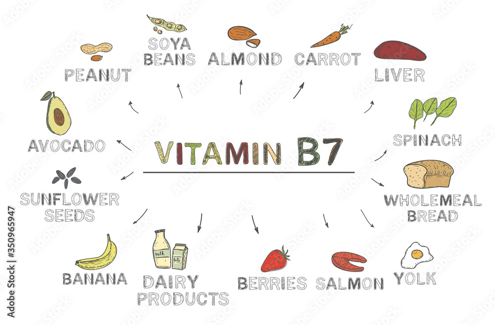 Vitamin B7 (Biotin). Foods rich in b7, natural products, fruits, vegetables on white background. Healthy lifestyle concept Vitamin B7 (Biotin). Foods rich in b7, natural products, fruits, vegetables on white background. Healthy lifestyle concept