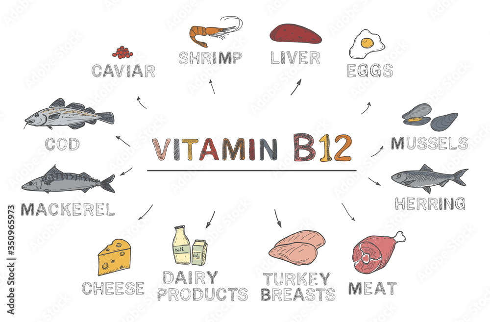 Vitamin B12 (Cobalamin). Foods rich in b12, natural products on white background. Healthy lifestyle concept Vitamin B12 (Cobalamin). Foods rich in b12, natural products on white background. Healthy lifestyle concept