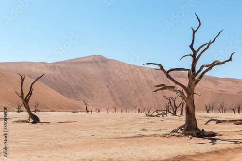 Das Deadvlei in der Wüste Namib © Dr. Jürgen Tenckhoff