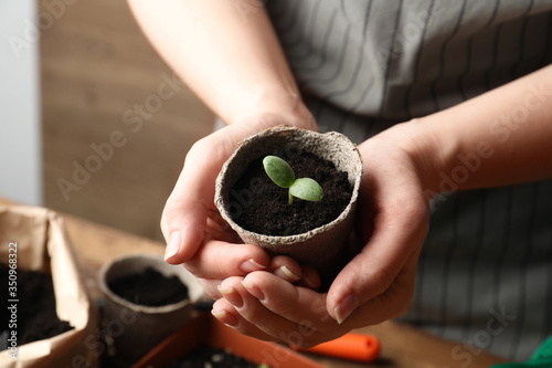 Woman holding pot with seedling indoors, closeup