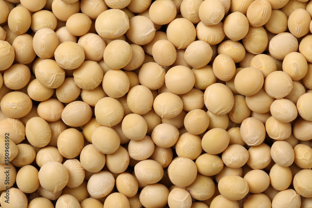 Soybean background