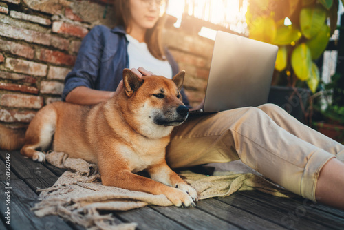 Daily life concept, Young woman using laptop computer working on distance sitting relaxed at home sunny terrace petting a dog, Student girl studying online via portable computer, focus on the pet
