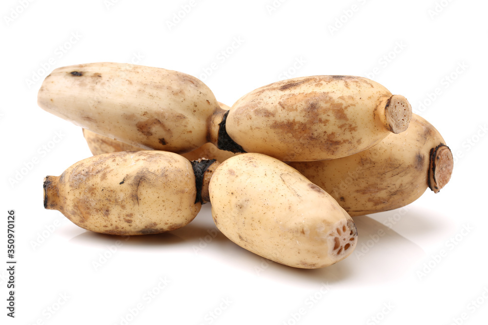 Lotus root on the white background