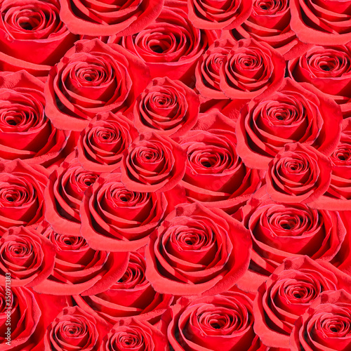 Red roses flowers pattern texture background for design.