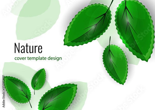 Fresh bright green leaves. Creative summer background for your design. Vector