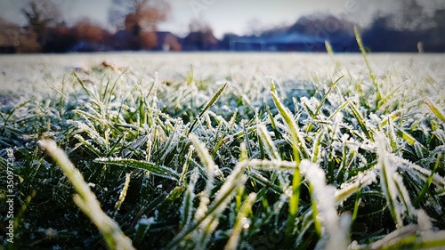 Fotografie, Tablou Close-up Of Frost On Grass