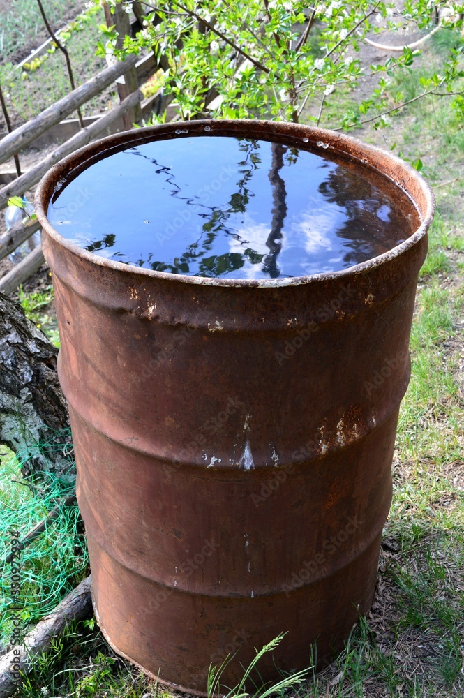 metal barrel to collect rain for watering metal barrel to collect rain for watering