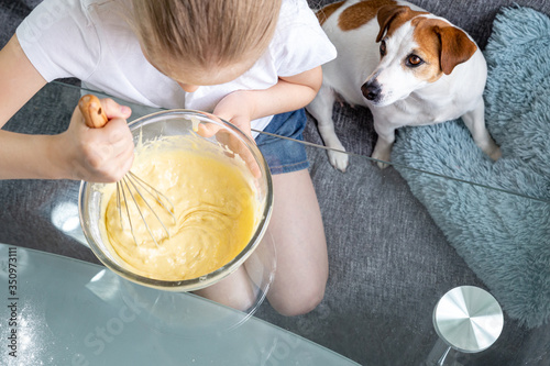 A girl in a white T-shirt stirs the dough with a whisk in a glass bowl, and a hungry dog, Jack Russell, sits nearby. Cook at home. Dough for waffles. Friendship of a child and a dog.
