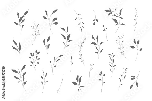 Botanical silhouette leaves hand drawn pencil sketches isolated on white background. Fine art floral elegant delicate graphic clipart for wedding invitation card. Vector illustration