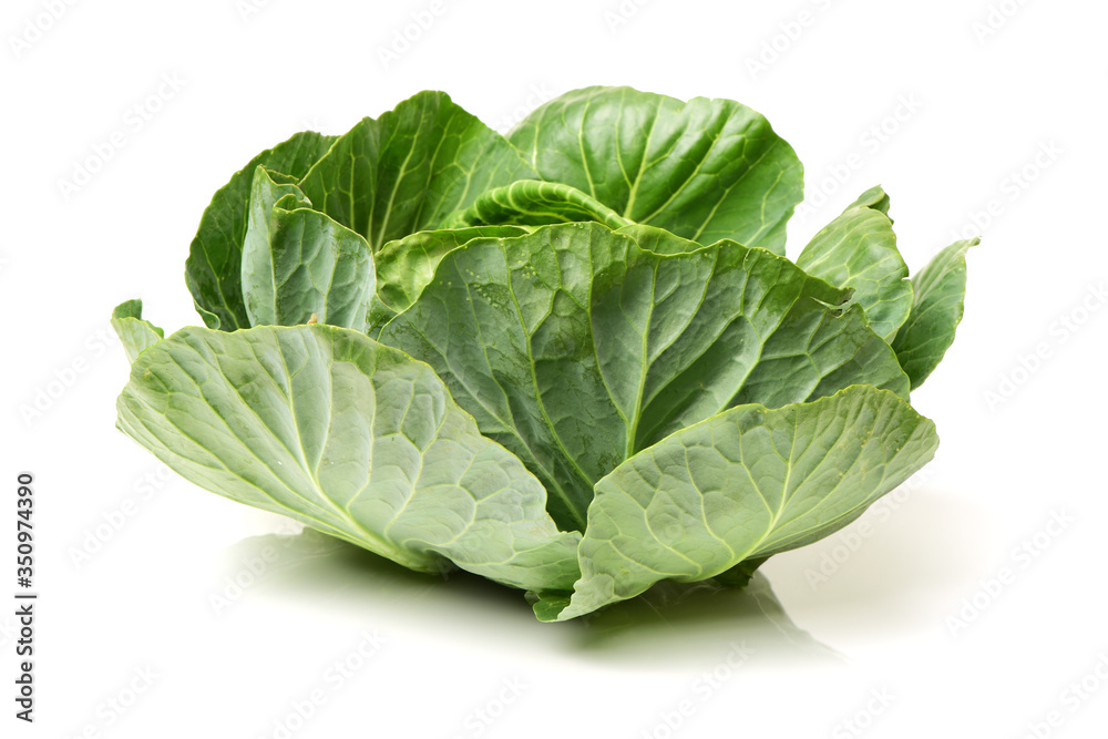 cabbage on a white background cabbage on a white background