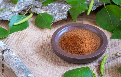Chaga tea mushroom from birch tree using for healing tea
Powdered chaga on a ceramic brown plate with green birch leaves and birch bark on a wooden background