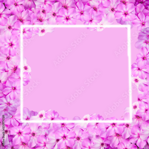 Pink flowers frame on the pink background. © zulfiska