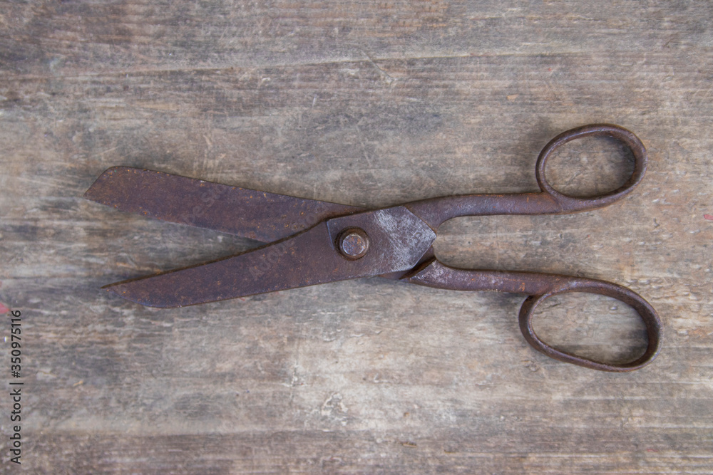 Old scissors for cutting thin materials and fabrics.