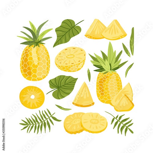 Pineapple. Tropical summer fruit isolated on a white background. Citrus in hand drawn style. Scandinavian nordic design for fashion or interior or cover or textile or background.