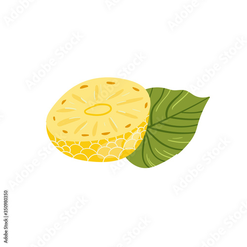 Pineapple. Tropical summer fruit isolated on a white background. Citrus in hand drawn style. Scandinavian nordic design for fashion or interior or cover or textile or background.