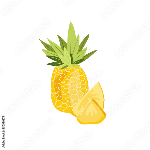 Pineapple. Tropical summer fruit isolated on a white background. Citrus in hand drawn style. Scandinavian nordic design for fashion or interior or cover or textile or background.