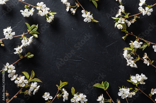 Frame of blooming cherry branches on a black textural background. Place for text