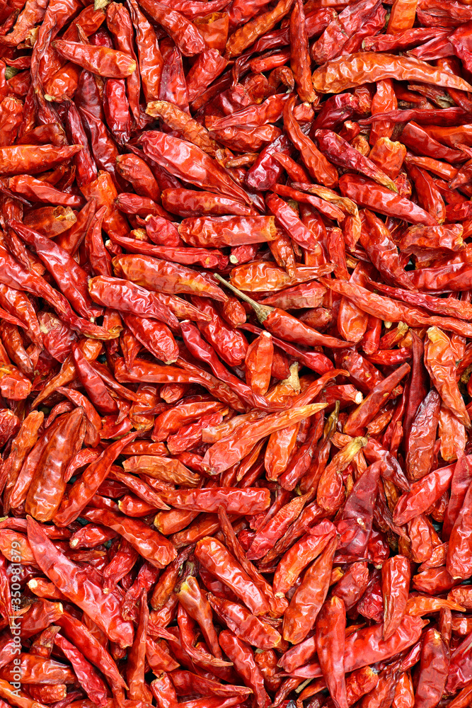 dried chili peppers dried chili peppers