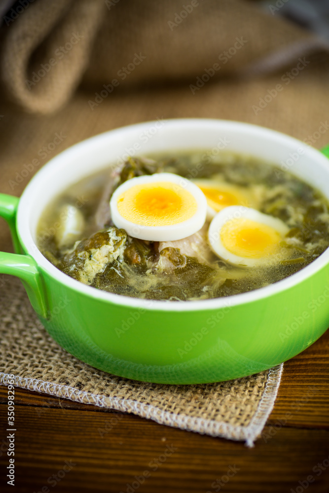 fresh spring organic soup with green sorrel and egg in a plate fresh spring organic soup with green sorrel and egg in a plate