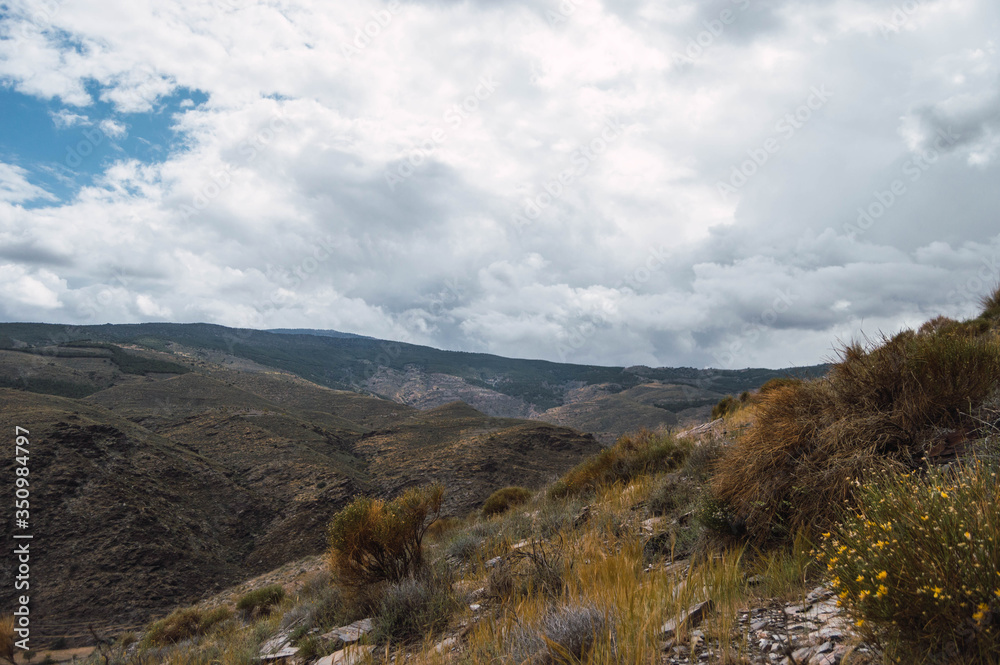 Naklejka premium RURAL