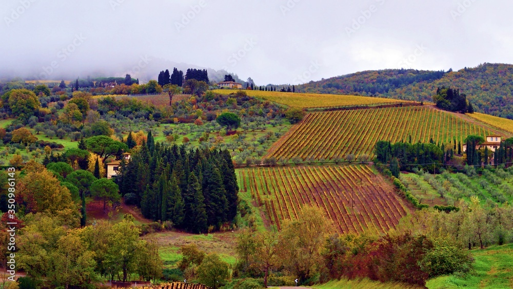 Paesaggio toscano di vigneti nelle colline del Chianti nella stagione autunnale nel comune di Greve in Chianti in provincia di Firenze in Italia