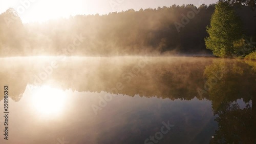 thick morning fog in the summer forest near the reservoir