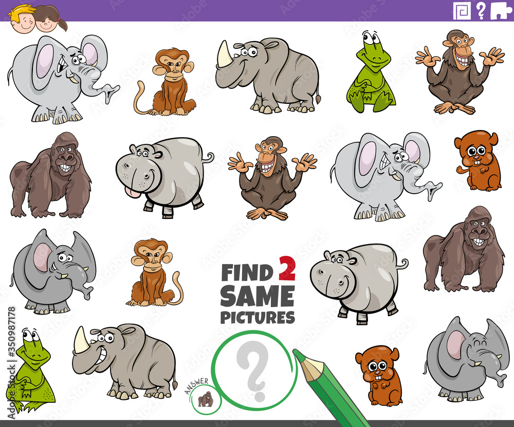 find two same wild animal characters task for kids Stock Vector | Adobe  Stock