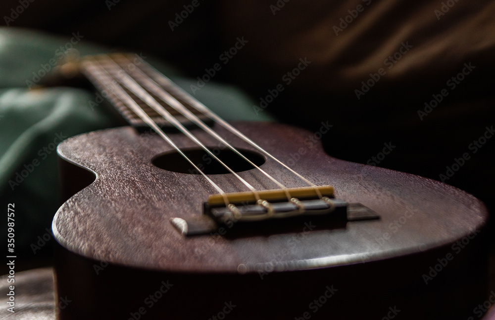 Fototapeta premium brown ukulele with natural light
