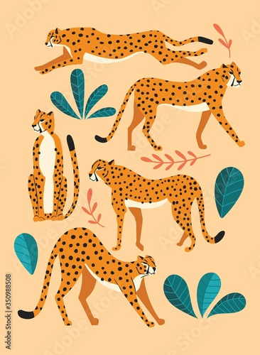 Collection of cute hand drawn cheetahs on pink background, standing, stretching, running and walking with exotic plants. Flat vector illustration