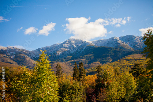 landscape with mountain and trees
