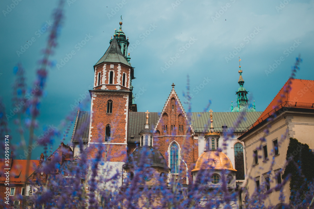 Obraz premium Wawel Castle in Krakow Poland