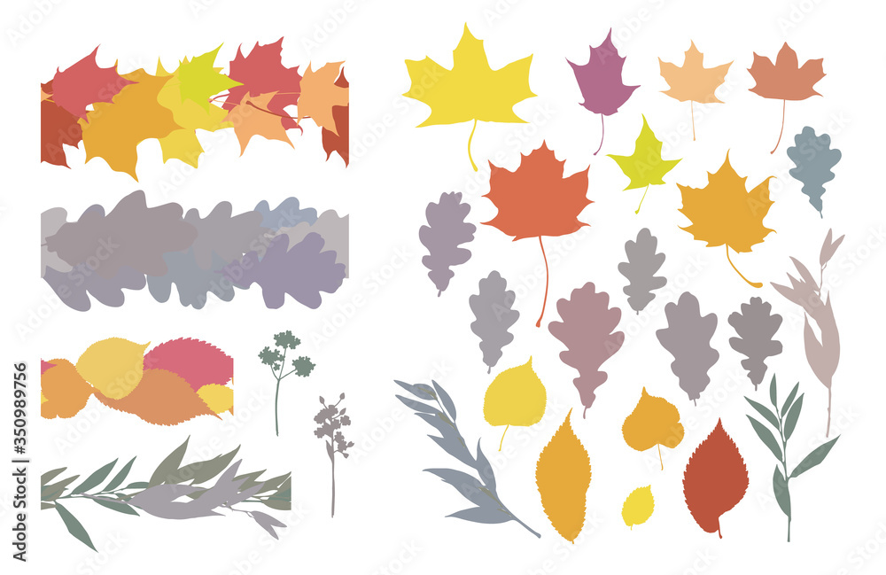 Isolated on white vector set of leaves silhouettes and horisontal endless brushes