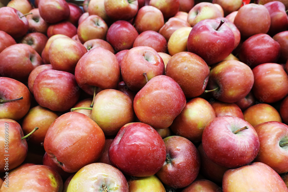 Background image of a harvested crop of red juicy ripe apples piled in a pile to be eaten