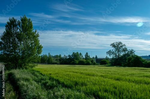 Prados y campos de cultivo en verano.