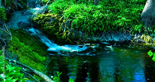 Wallpaper Mural Time lapse, moss covered waterfall in spring forest Torontodigital.ca