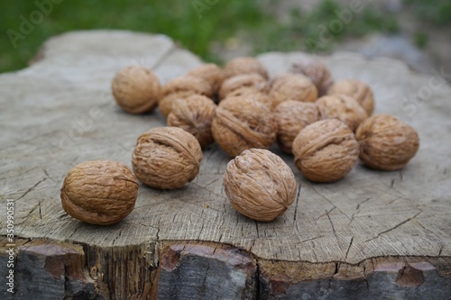 Obraz na płótnie walnuts on wooden background